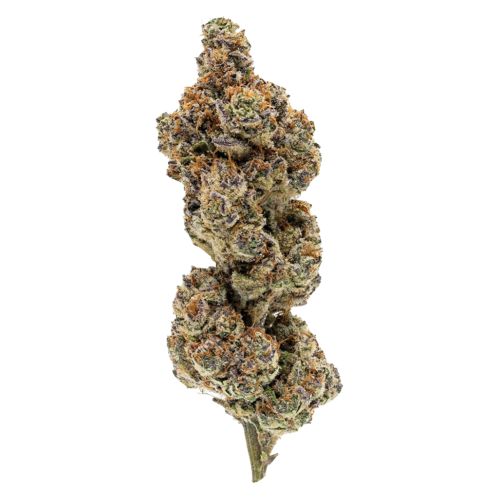 Payday Pack